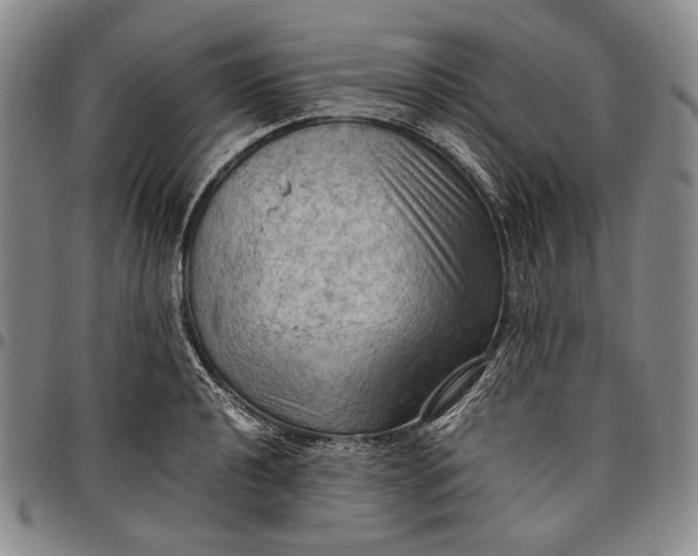 X0000096641040200802191215