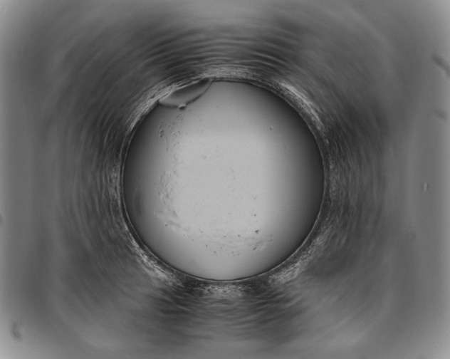 X0000096641041200802191215