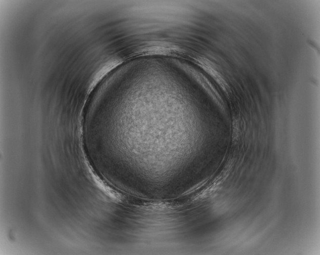 X0000096641042200802191215