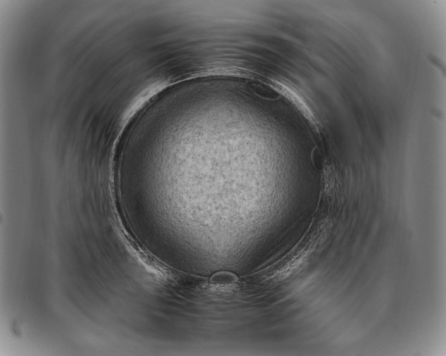 X0000096641043200802191215