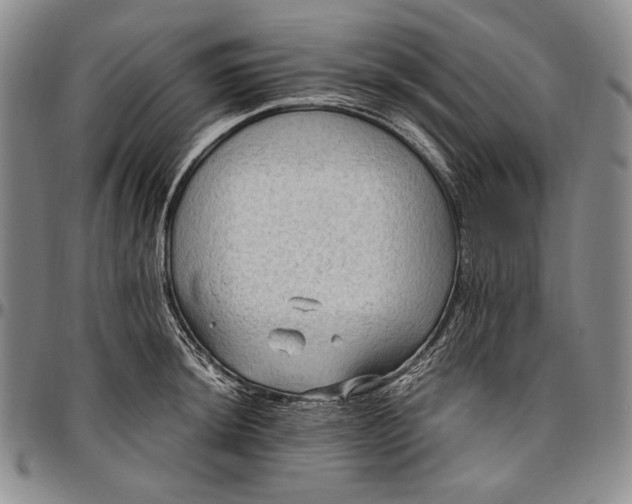 X0000096641044200802191215