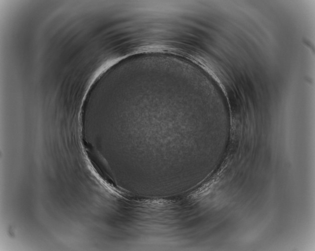 X0000096641045200802191215