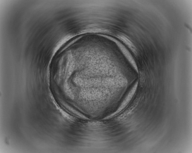 X0000096641046200802191215