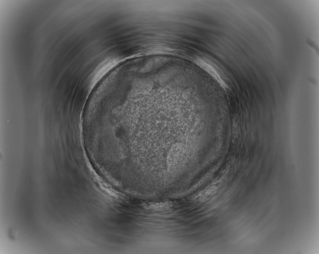 X0000096641047200802191215