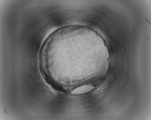 X0000096641048200802191215