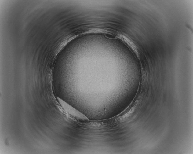 X0000096641049200802191215