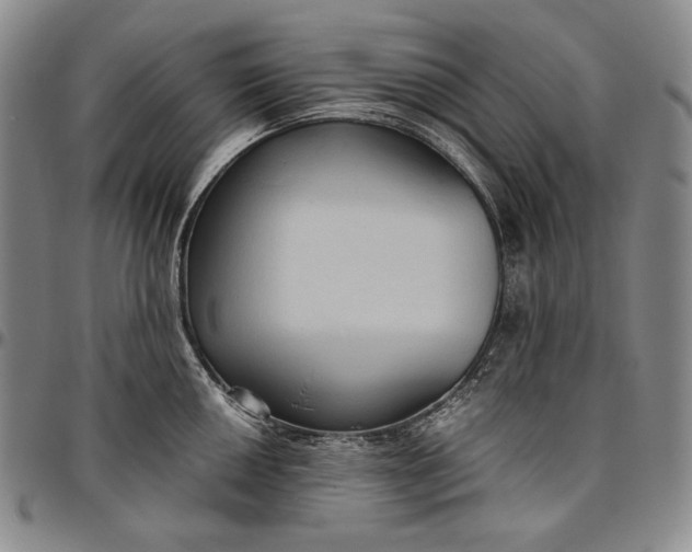 X0000096641050200802191215