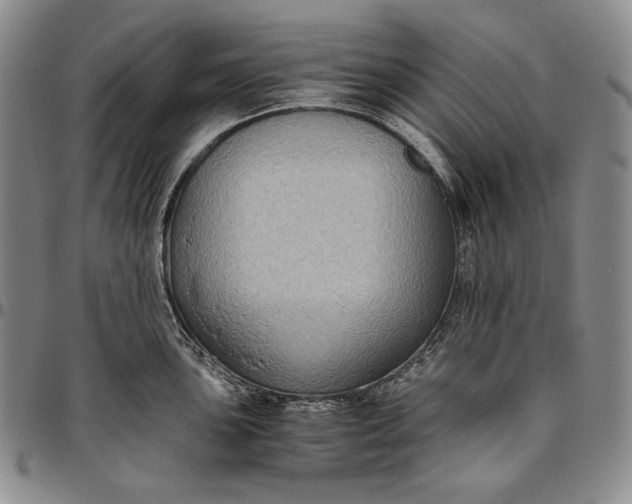 X0000096641051200802191215