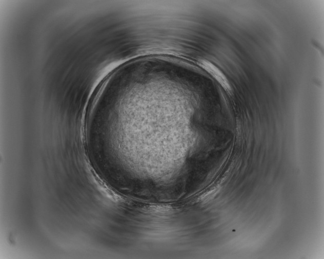 X0000096641052200802191215