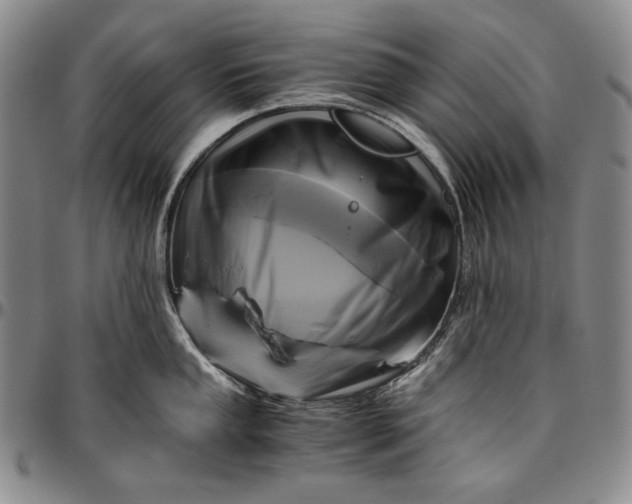 X0000096641053200802191215