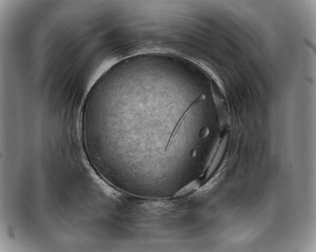 X0000096641054200802191215