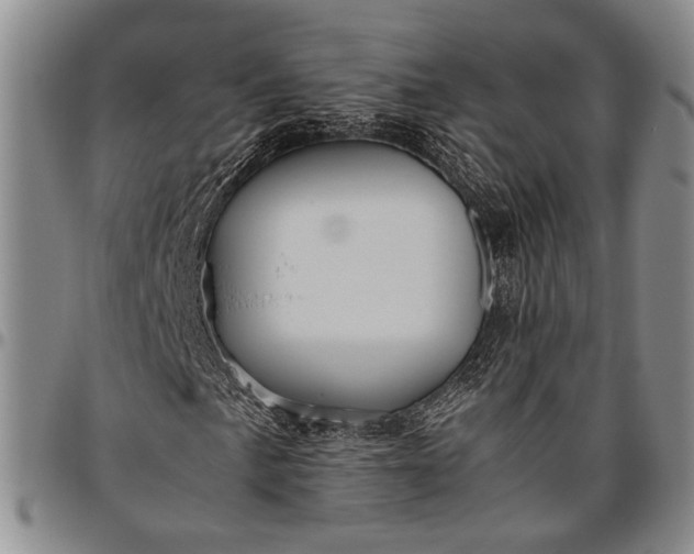 X0000096641057200802191214