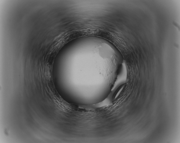 X0000096641058200802191214