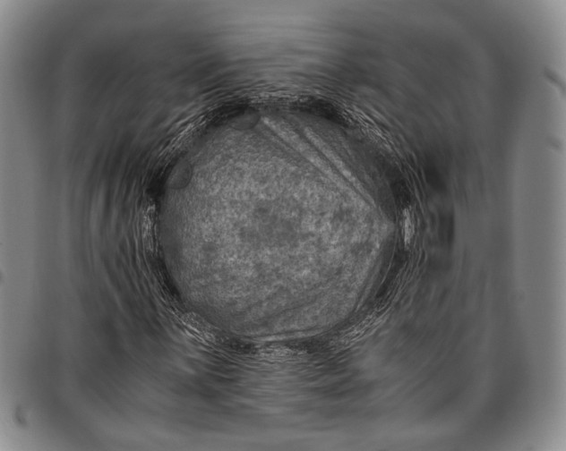 X0000096641059200802191214