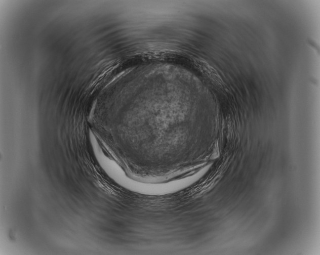 X0000096641060200802191214