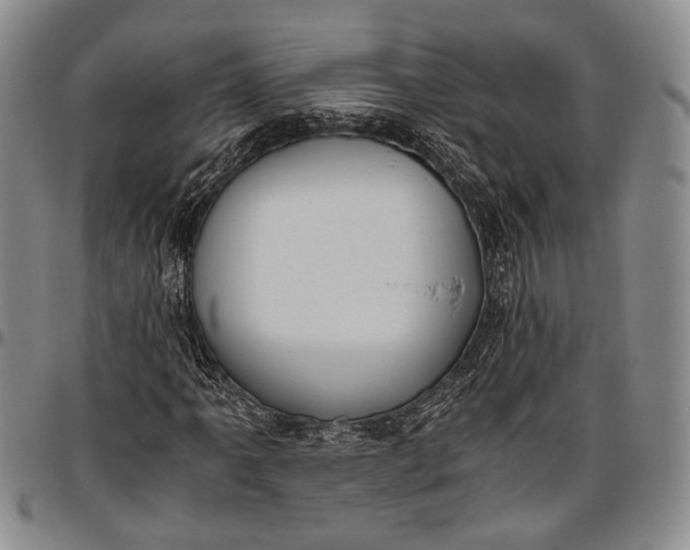 X0000096641061200802191214