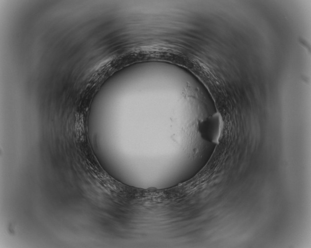 X0000096641062200802191214