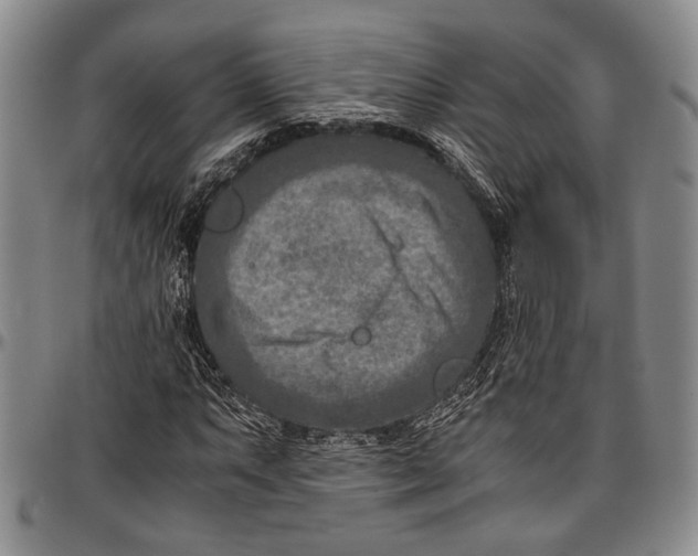 X0000096641063200802191214