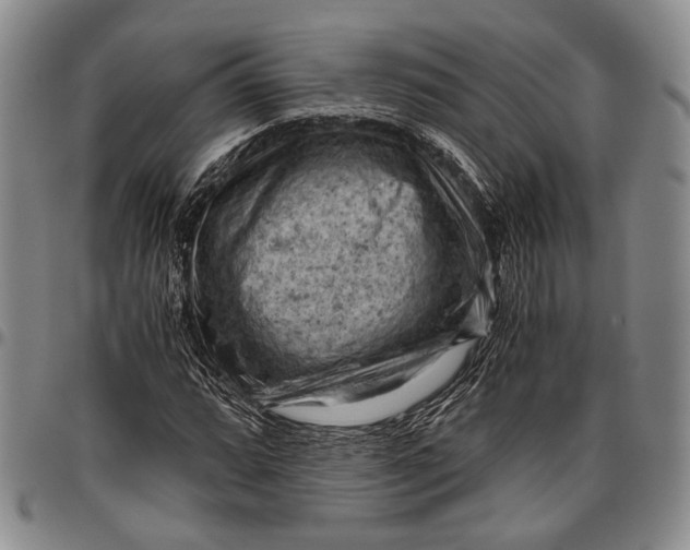 X0000096641064200802191214