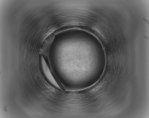 X0000096641065200802191214