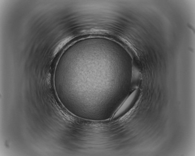 X0000096641066200802191214