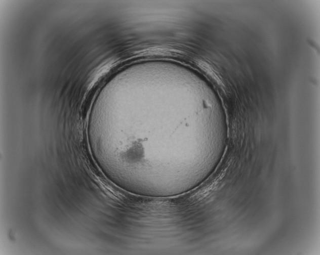 X0000096641067200802191214