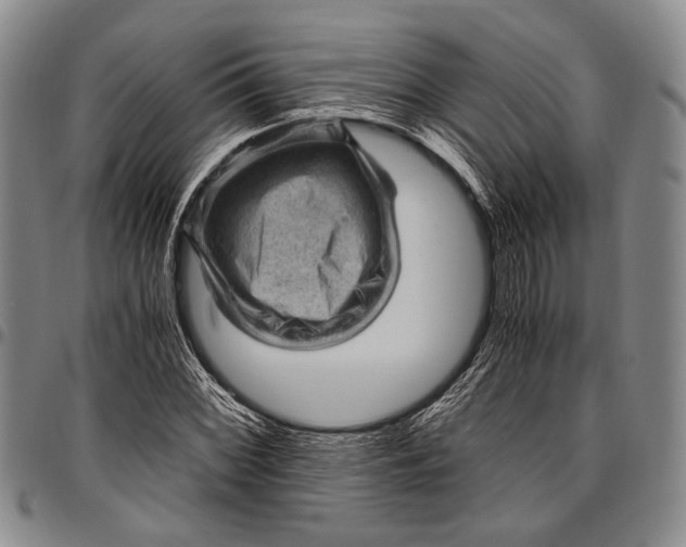 X0000096641068200802191214