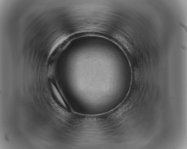 X0000096641069200802191214