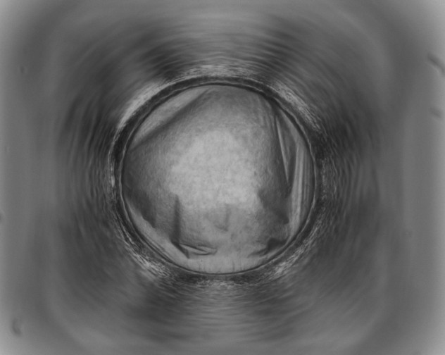 X0000096641070200802191214