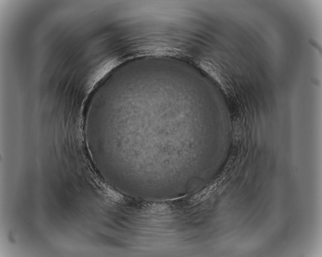 X0000096641071200802191214