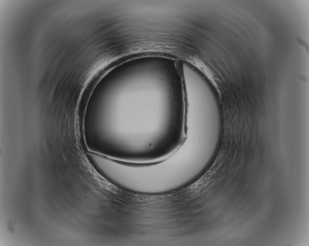 X0000096641072200802191214