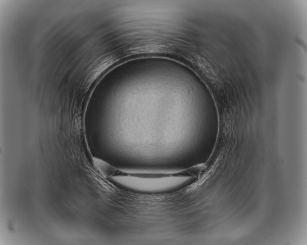 X0000096641073200802191214