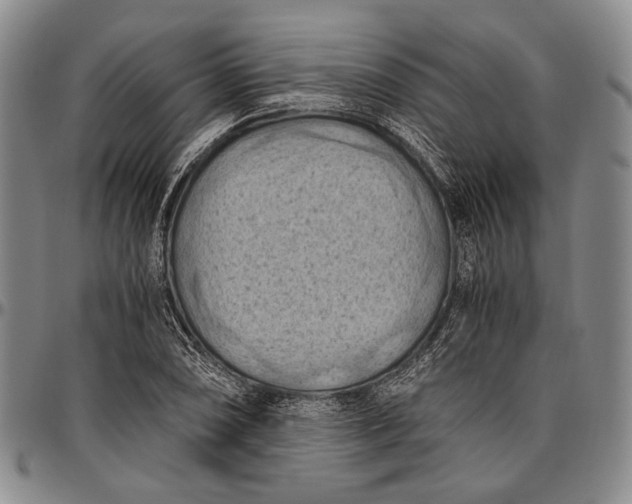 X0000096641074200802191214