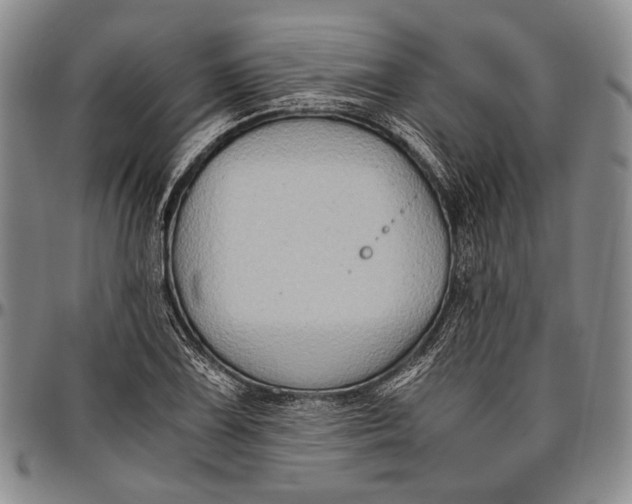 X0000096641075200802191214