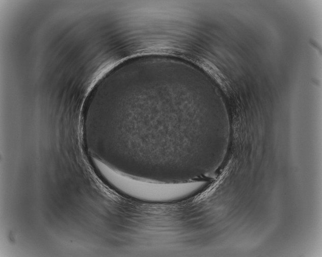 X0000096641077200802191214