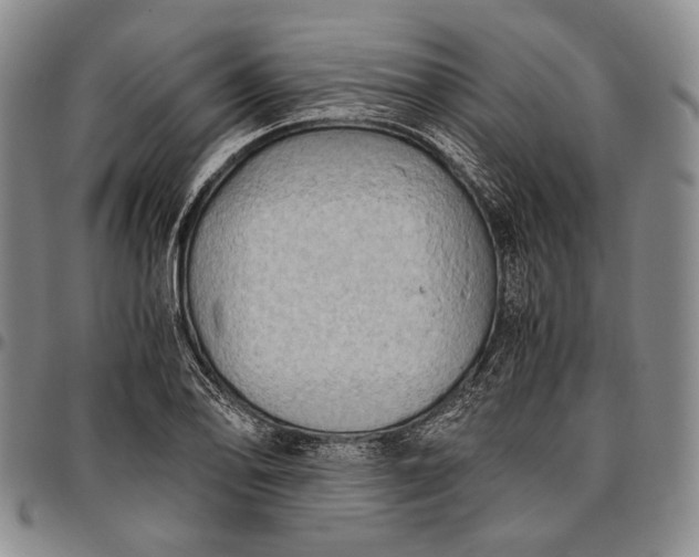 X0000096641078200802191214