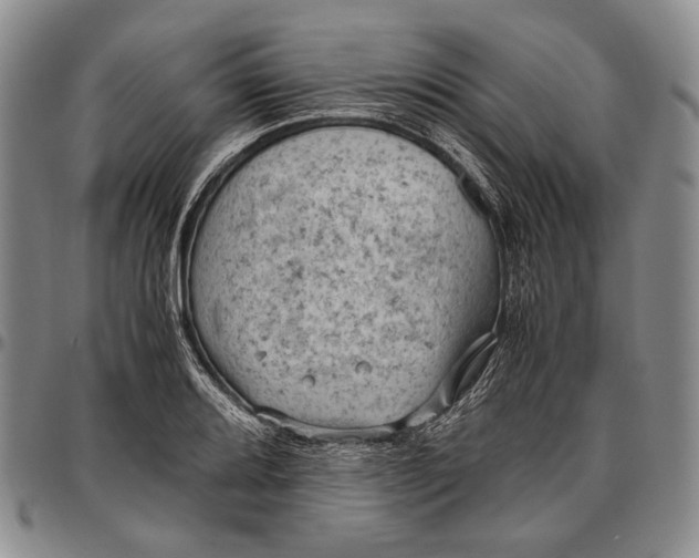 X0000096641080200802191214