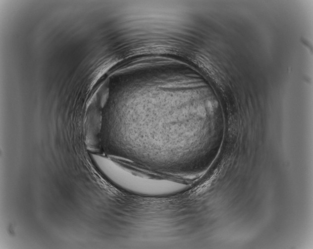 X0000096641081200802191214