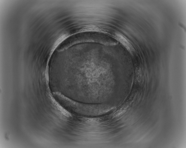 X0000096641084200802191214