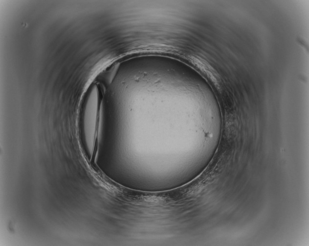 X0000096641085200802191214