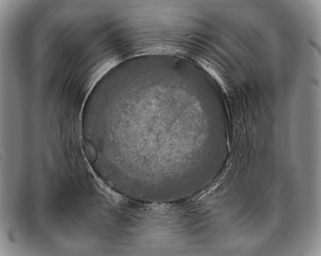 X0000096641087200802191214