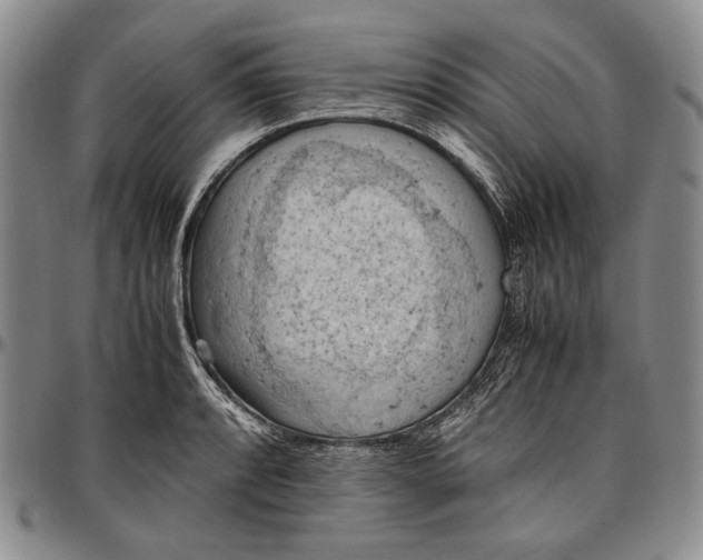 X0000096641088200802191214