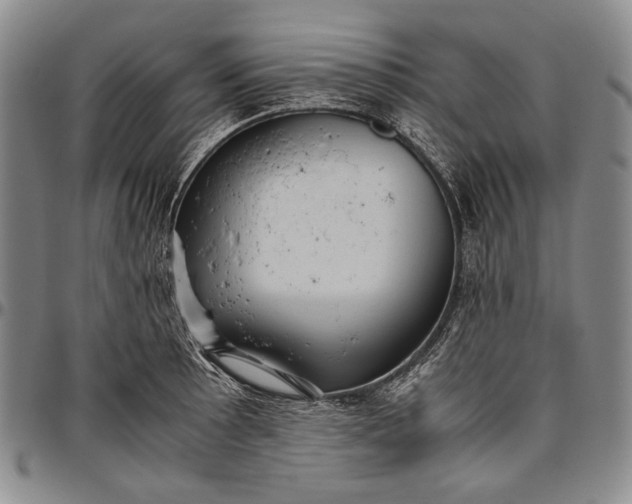 X0000096641089200802191214