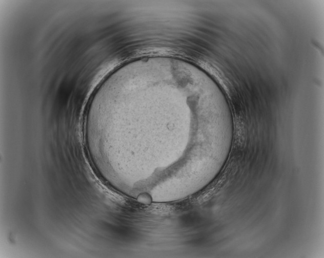 X0000096641090200802191214