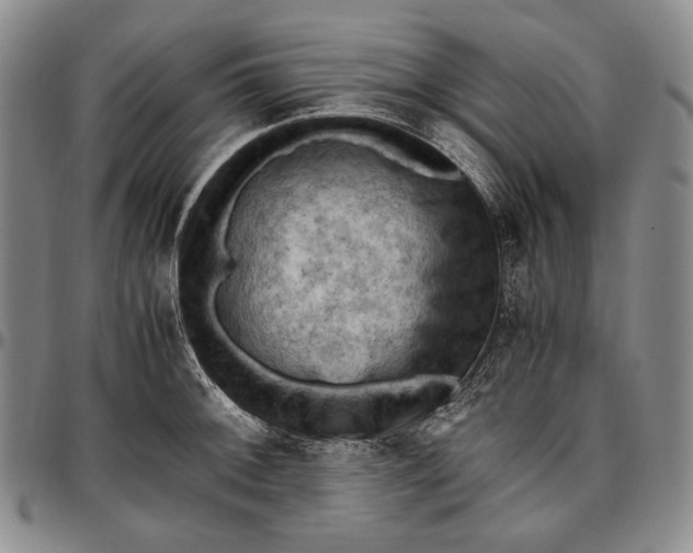 X0000096641092200802191214