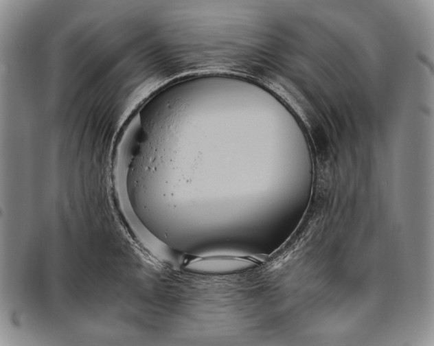 X0000096641093200802191214