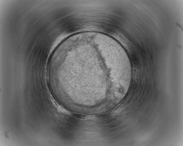 X0000096641094200802191214