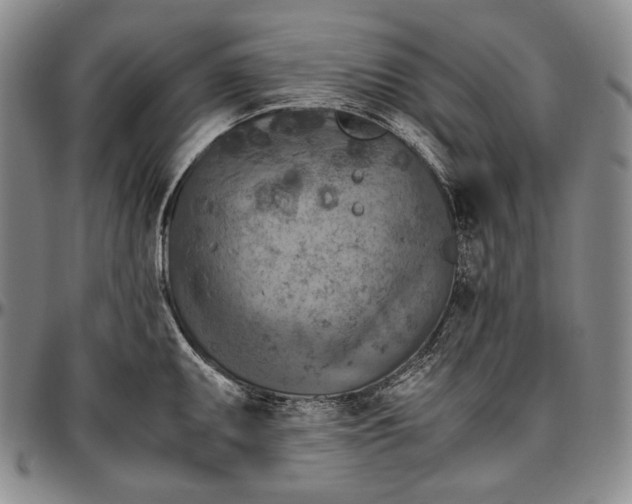 X0000096641095200802191214