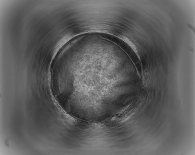 X0000096641096200802191214