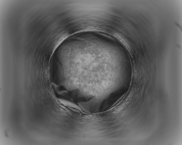 X0000096641097200802191214